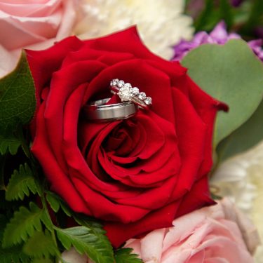 Wedding rings in red rose